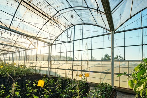 green-house-polycarbonate-multiwall-sheet-500x500.jpg